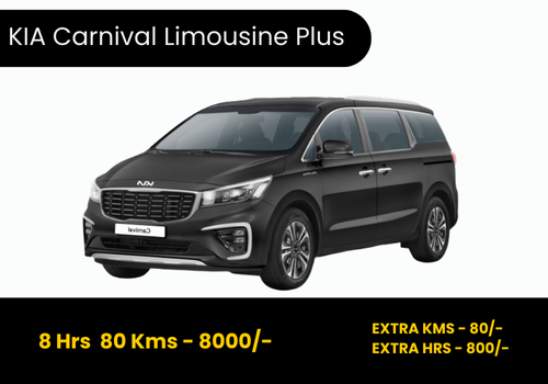 kia carnival limousine plus
