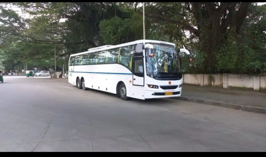 Quick glimpse of our well-maintained rental cars.